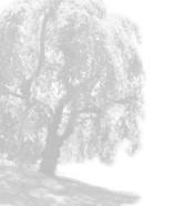 Bestattungen W. Krott in Roetgen - Ihr zuverl�ssiger Partner f�r Beerdigungen, �berf�hrungen, im Trauerfall 