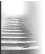 Bestattungen W. Krott in Roetgen - Ihr zuverl�ssiger Partner f�r Beerdigungen, �berf�hrungen, im Trauerfall 